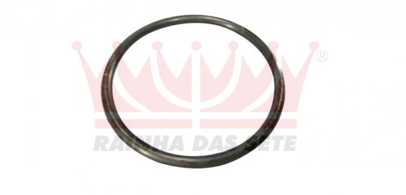 ETE5071 GUARNICAO BOMBA COMBUSTIVEL S-10/BLAZER 4.3 MULT POINT 96