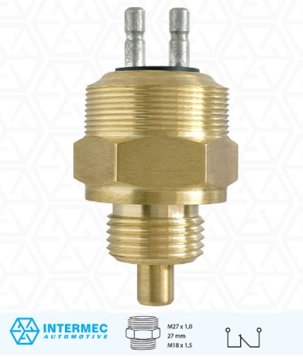 P6018 INTERRUPTOR LUZ DE RE (EC7529)