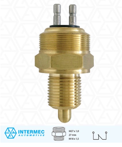 P6021 INTERRUPTOR LUZ DE RE (EC7539)