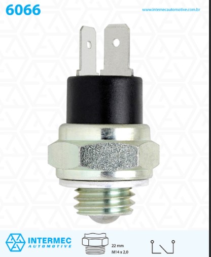 P6066 INTERRUPTOR LUZ DE RE (EC7014)