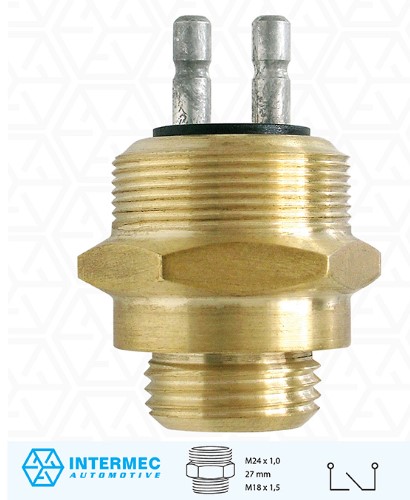 P6013 INTERRUPTOR LUZ DE RE (EC7526) — Foto 2