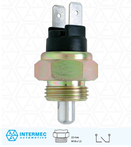P6024 INTERRUPTOR LUZ DE RE (EC7528)