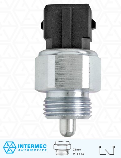 P6060 INTERRUPTOR LUZ DE RE (EC7573)