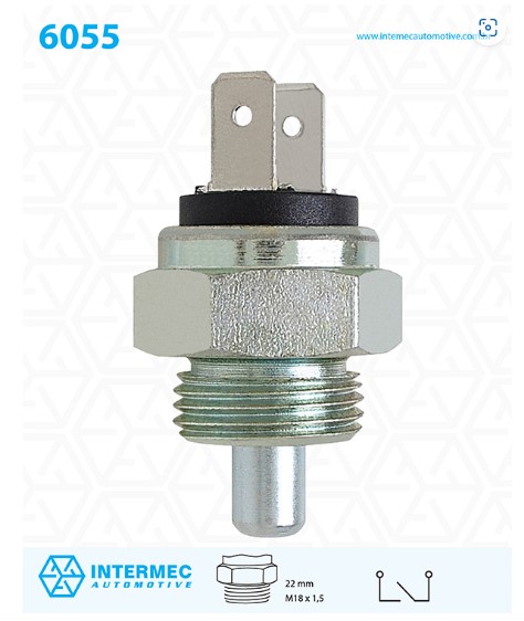 P6055 INTERRUPTOR LUZ DE RE (EC7013)