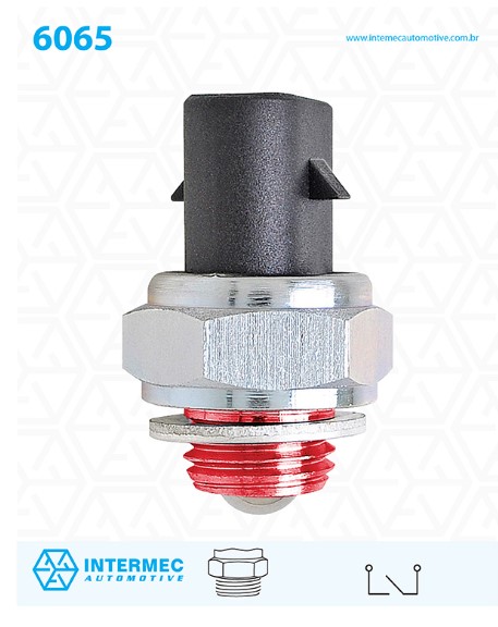 P6065 INTERRUPTOR LUZ DE RE (EC7584)