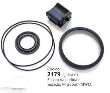 EDA2179 KIT BORRACHA PLANETARIA MITSUBISHI VOLVO (MWM) (1PÇ)