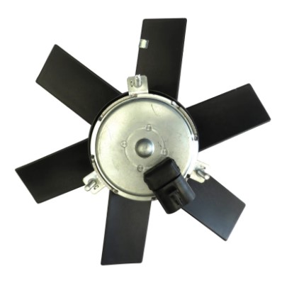 EW0011021 ELETROVENTILADOR CORSA/PICK-UP/SEDAN C/AR 6PAS MT.100MM 306MM