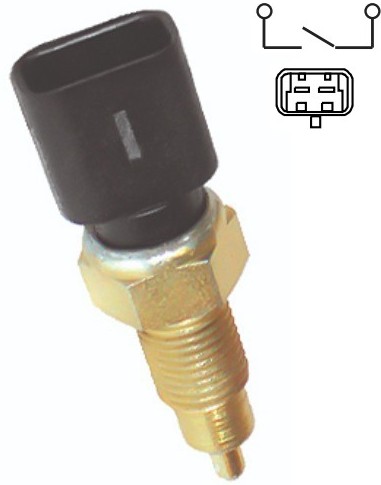 ECH24434 INTERRUPTOR LUZ DE RE  