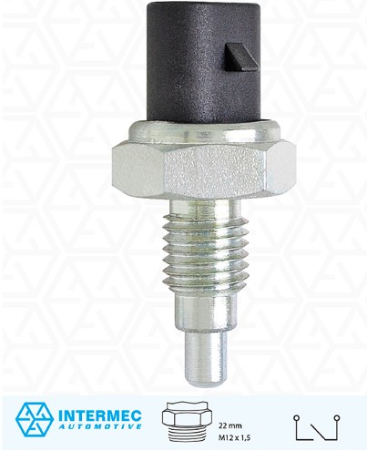P6061 INTERRUPTOR LUZ DE RE (EC7580)