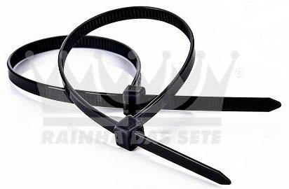 ETE7518/10 ABRAC. PLAST. PRETA 100 X 2,5MM 10CM (C/10PÇS)