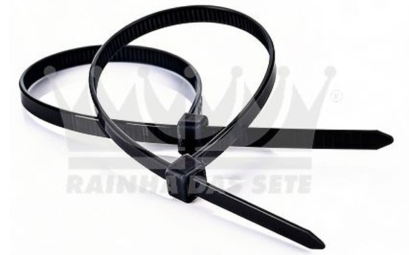 ETE7565/10 ABRAC. PLAST. PRETA 245 X 4,6MM 24CM (C/10PÇS)